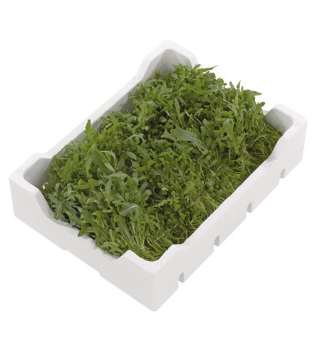 rucola_mazzetti
